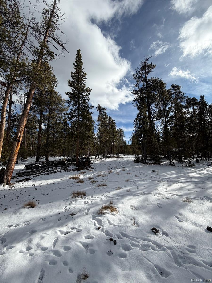 379 Peakview Leadville, CO 80461 - Photo 8 of 17 a view of a yard with a trees