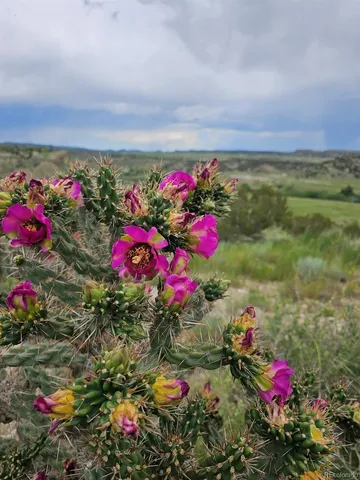 $168,000 | 475 P Street, Penrose, CO 81240