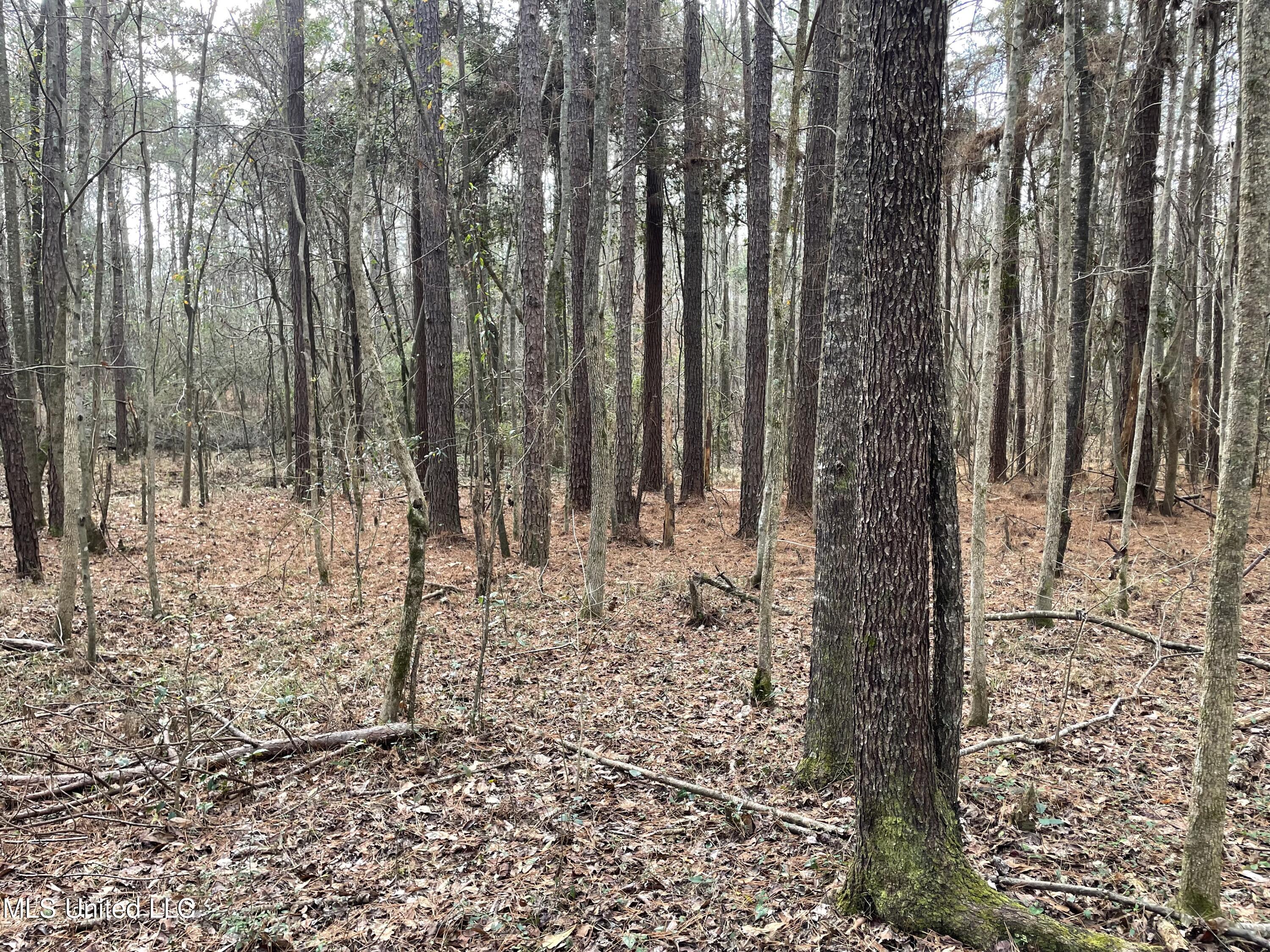 Pine Ridge Road Lawrence, MS 39336 - Photo 19 of 39 15.
