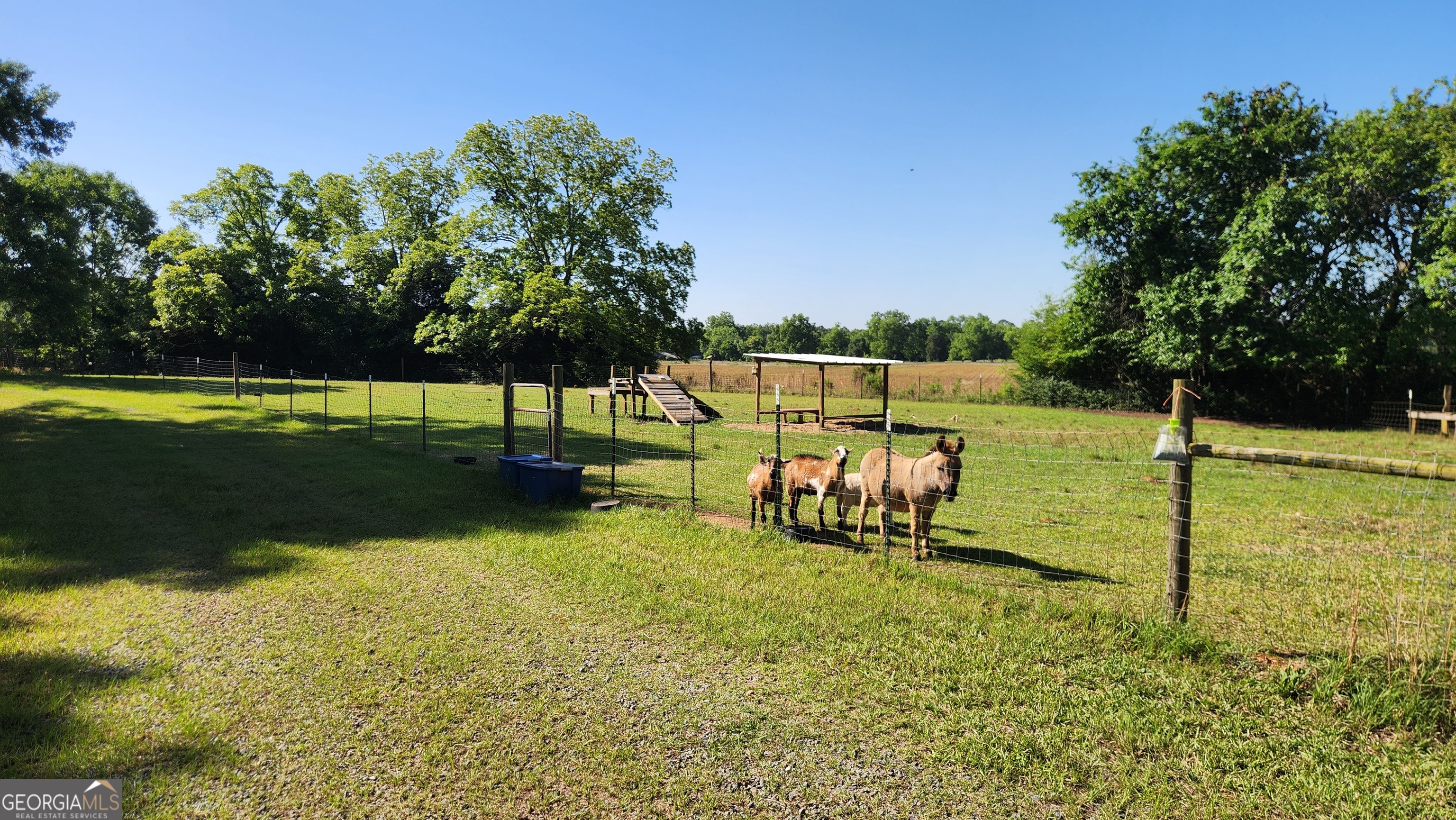 246 Melton Mill Road Dawson, GA 39842 - Photo 13 of 78