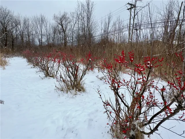 $249,900 | 3644 West Main Street Road, Batavia, NY 14020