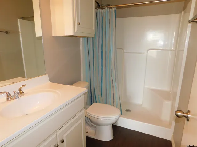 a bathroom with a sink a toilet and shower