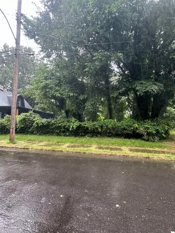 a view of a yard with a large trees