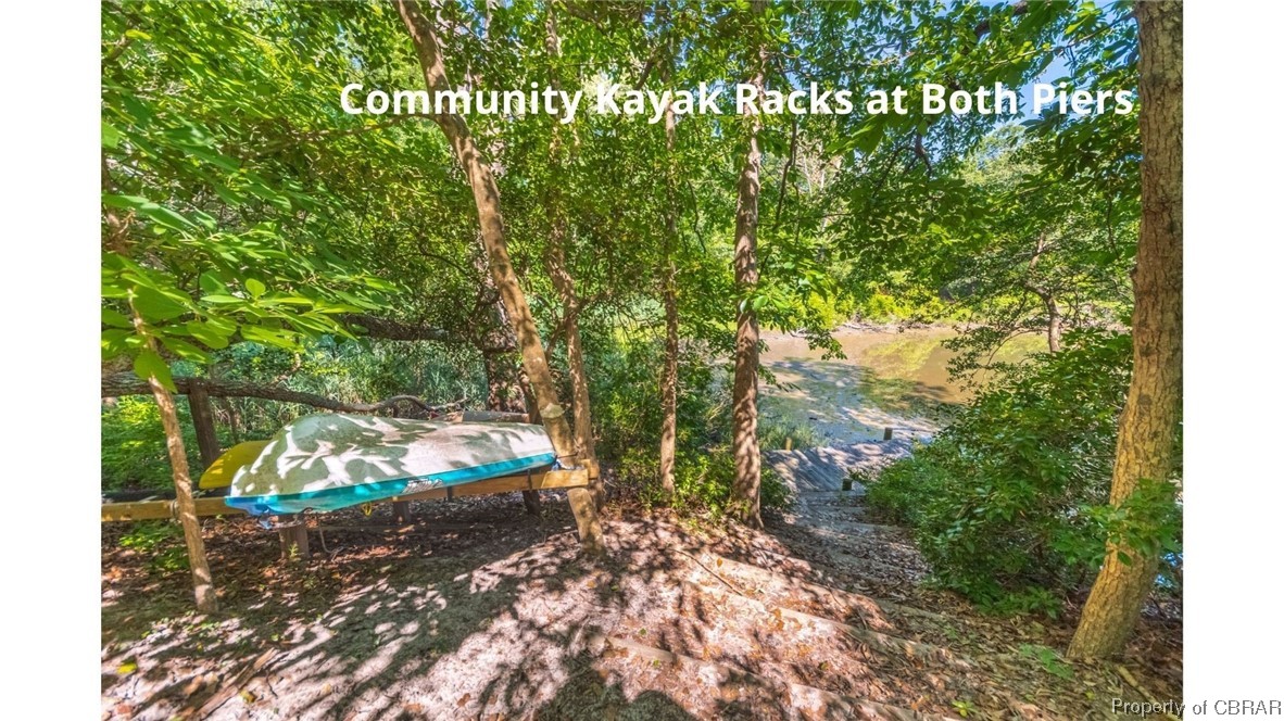 0 Whiting Creek Road Locust Hill, VA 23092 - Photo 10 of 12
