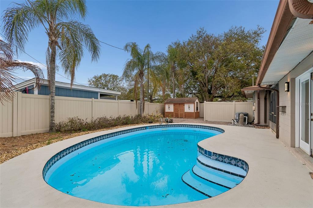 2708 Lion Heart Road Winter Park, FL 32792 - Photo 43 of 47 a view of a swimming pool with a yard and palm trees