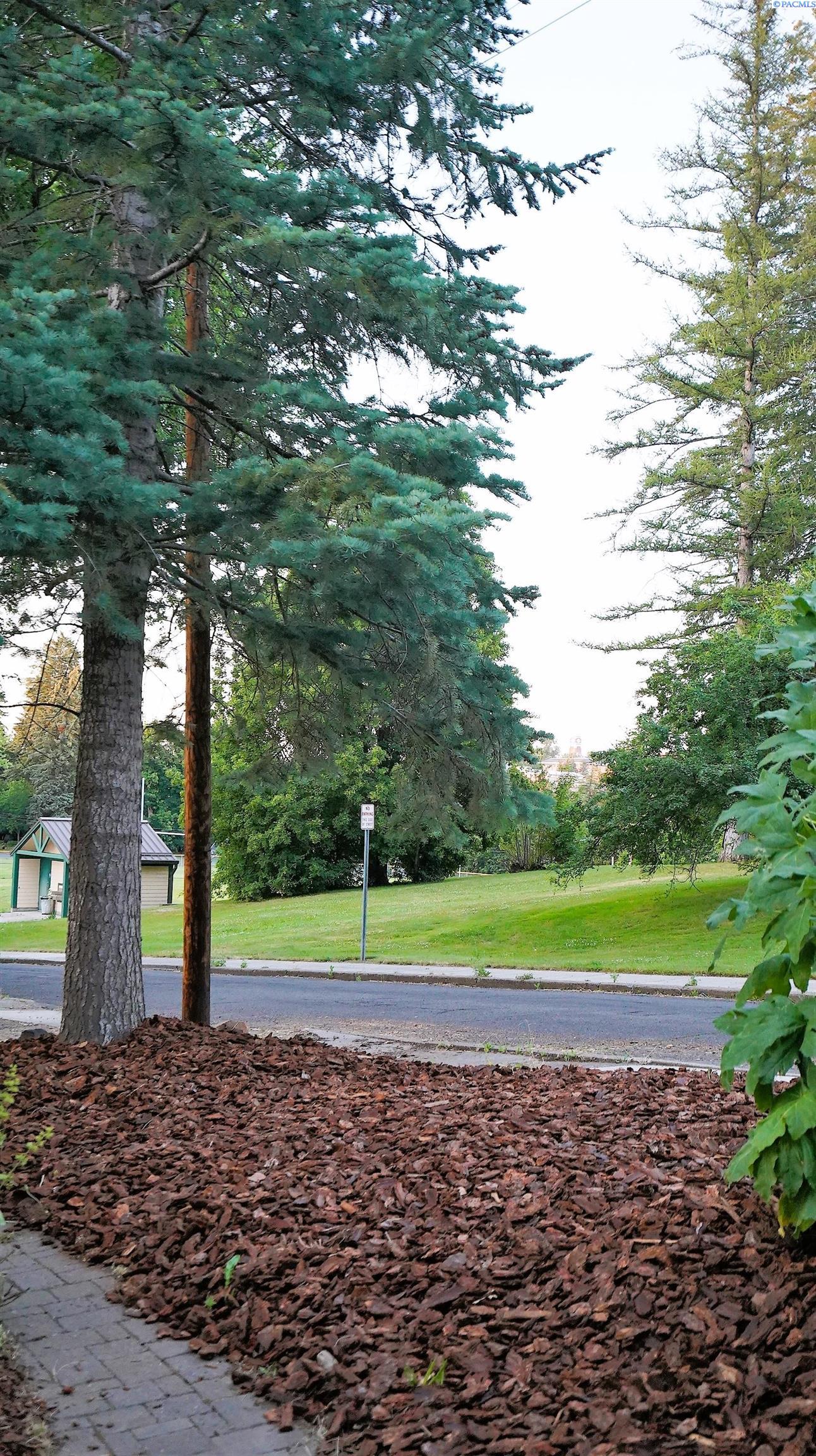 625 Southeast Side Street Pullman, WA 99163 - Photo 35 of 46 Gallery Image 35