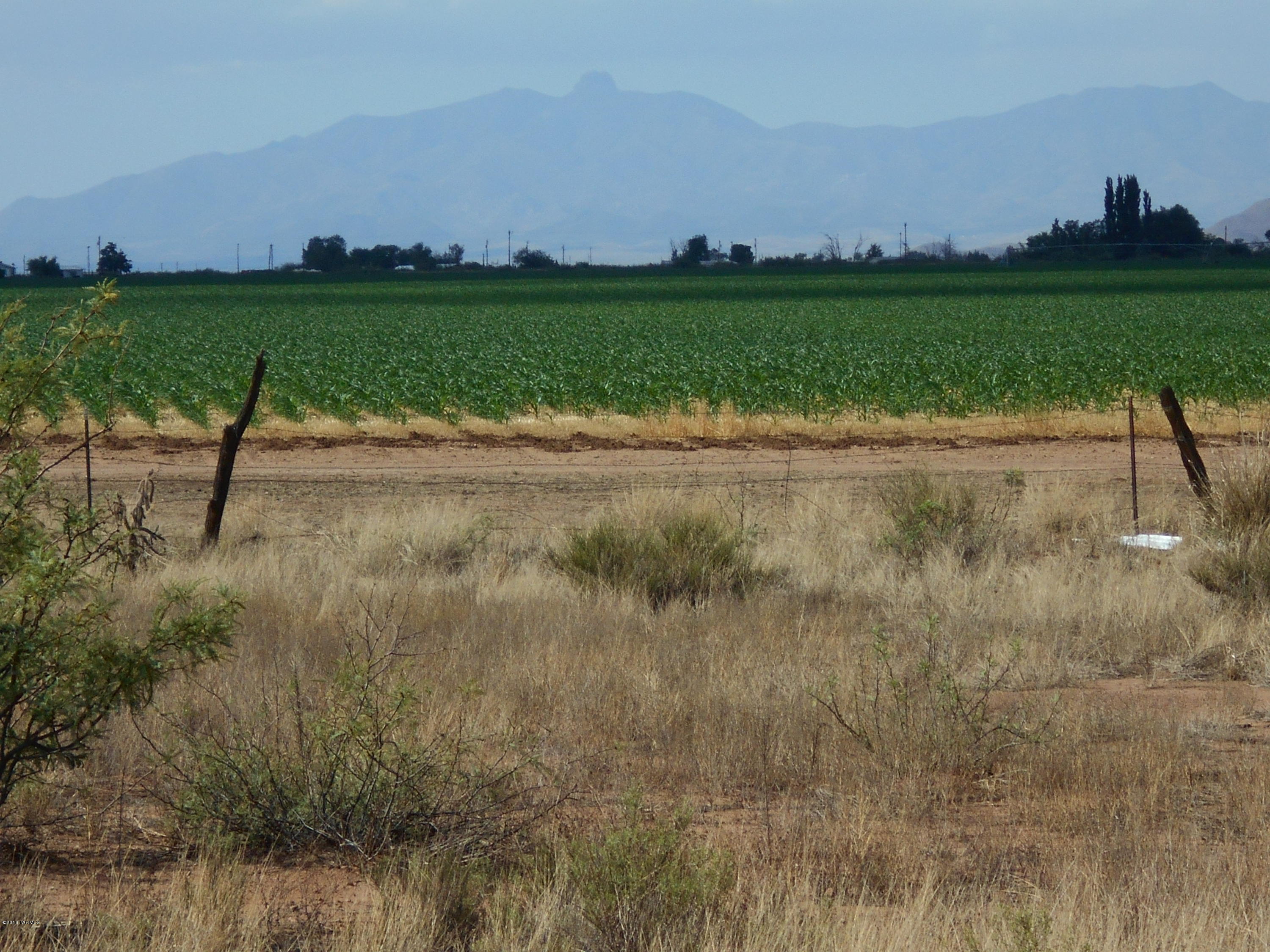 40 East Duke Ranch Road Pearce, AZ 85625 - Photo 4 of 7