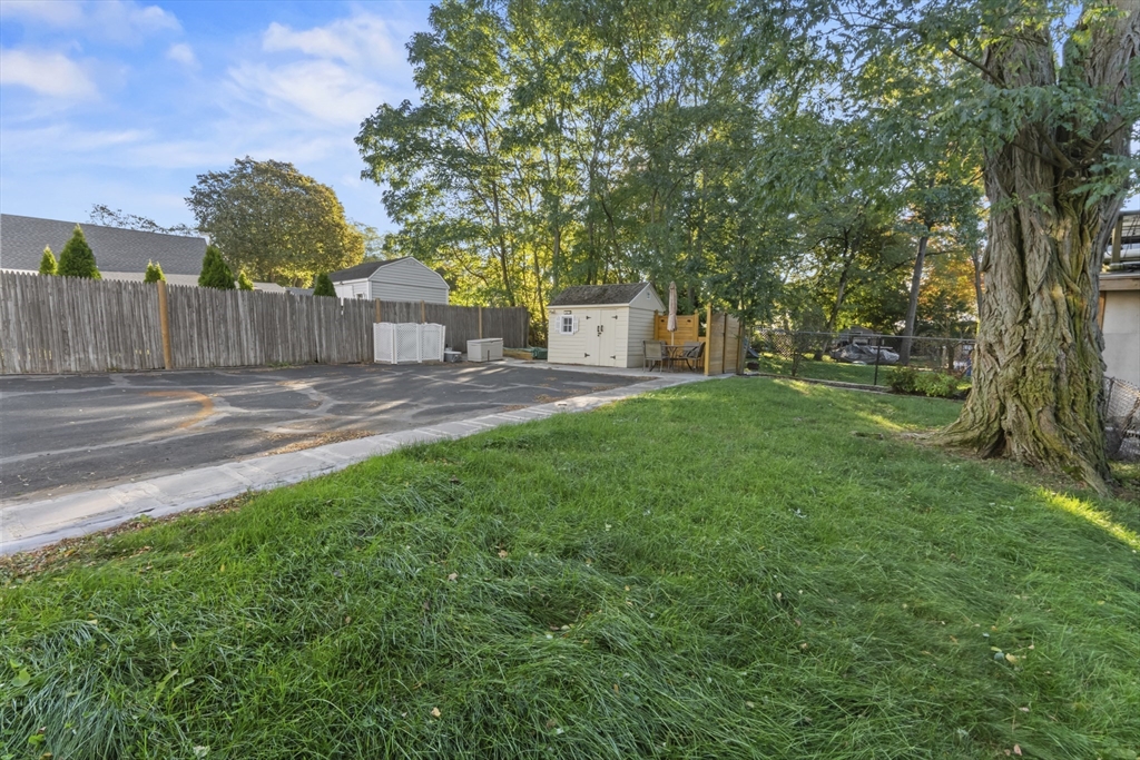 36 Forest Street Peabody, MA 01960 - Photo 27 of 35 a view of a yard with plants and a large tree