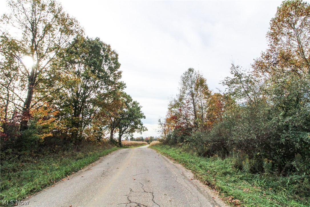 Sleepy Elm Road Southwest Newcomerstown, OH 43832 - Photo 2 of 20 Gallery Image 2