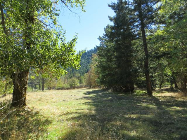 2500 Van Duzen Road Bridgeville, CA 95526 - Photo 8 of 48