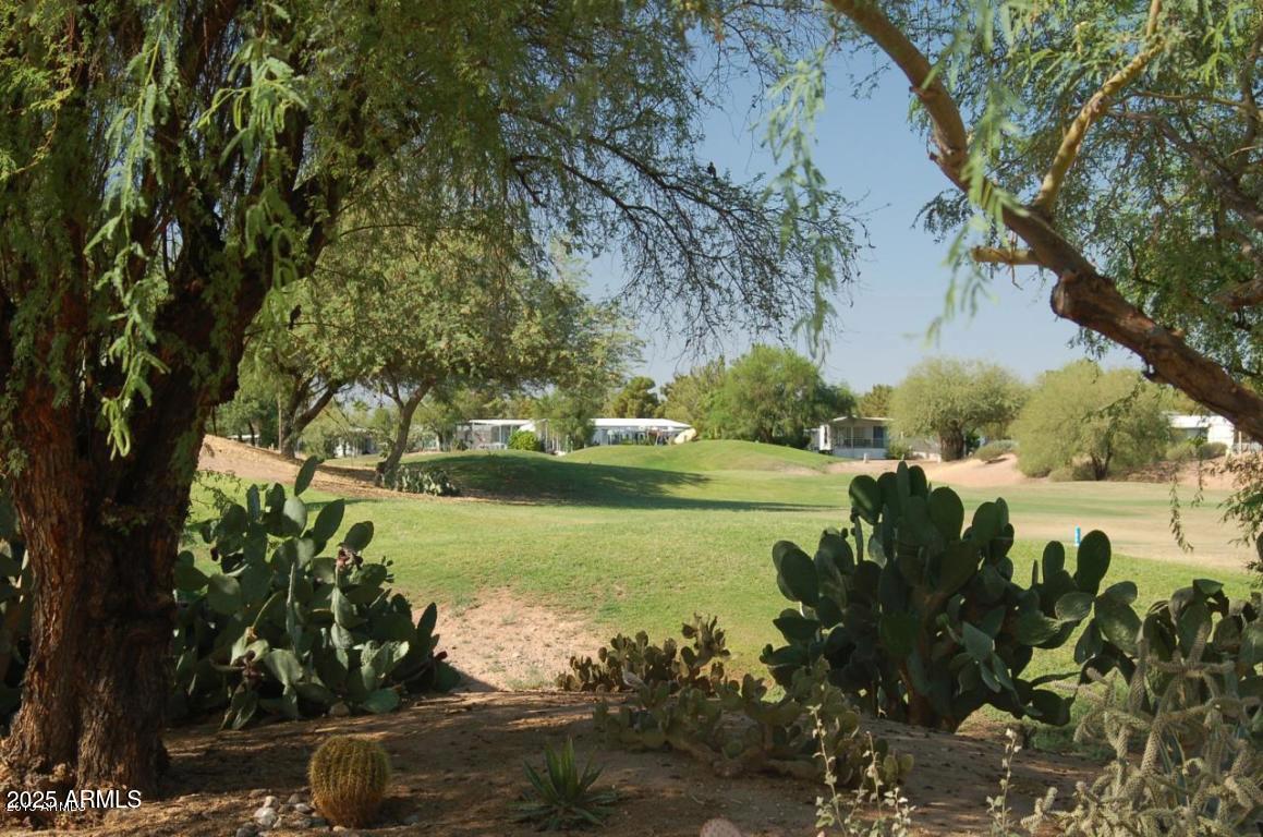 17200 West Bell Road, Unit 975 Surprise, AZ 85374 - Photo 35 of 46 Golf Course 2