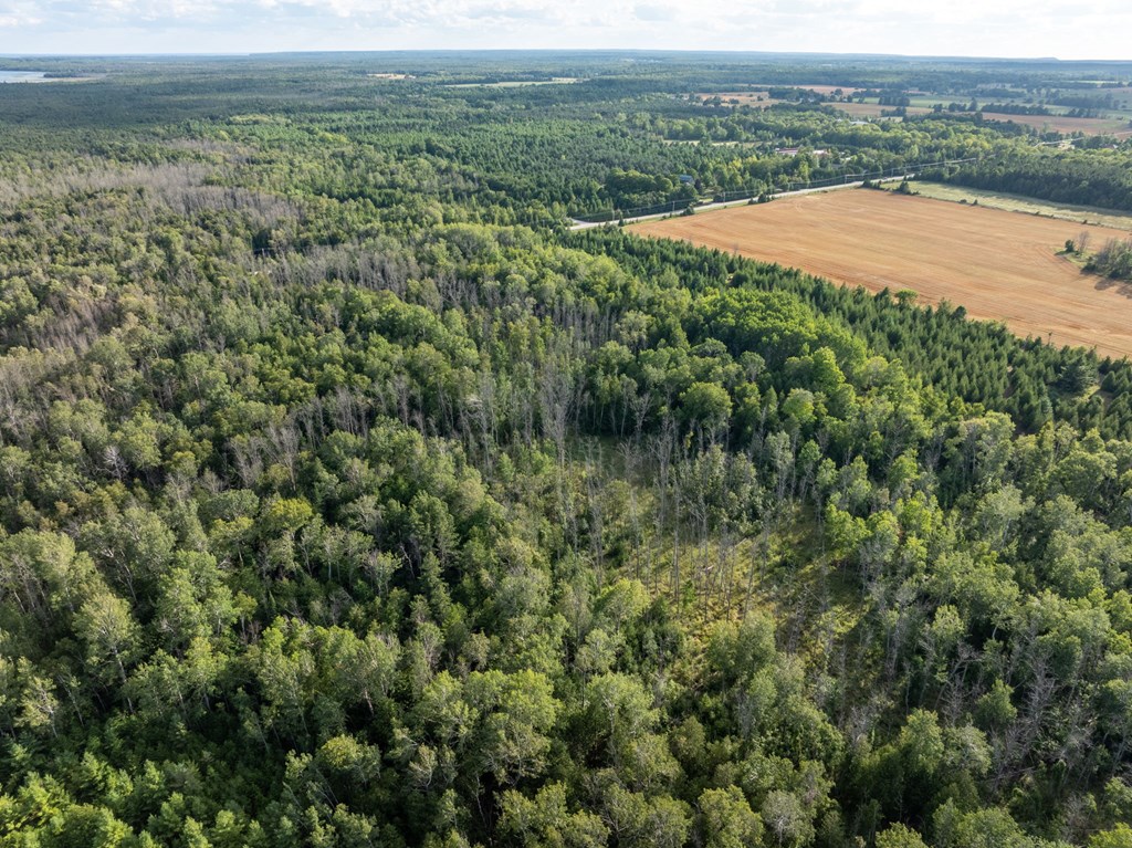 Tbd Tbd County Road Sister Bay, WI 54234 - Photo 20 of 32