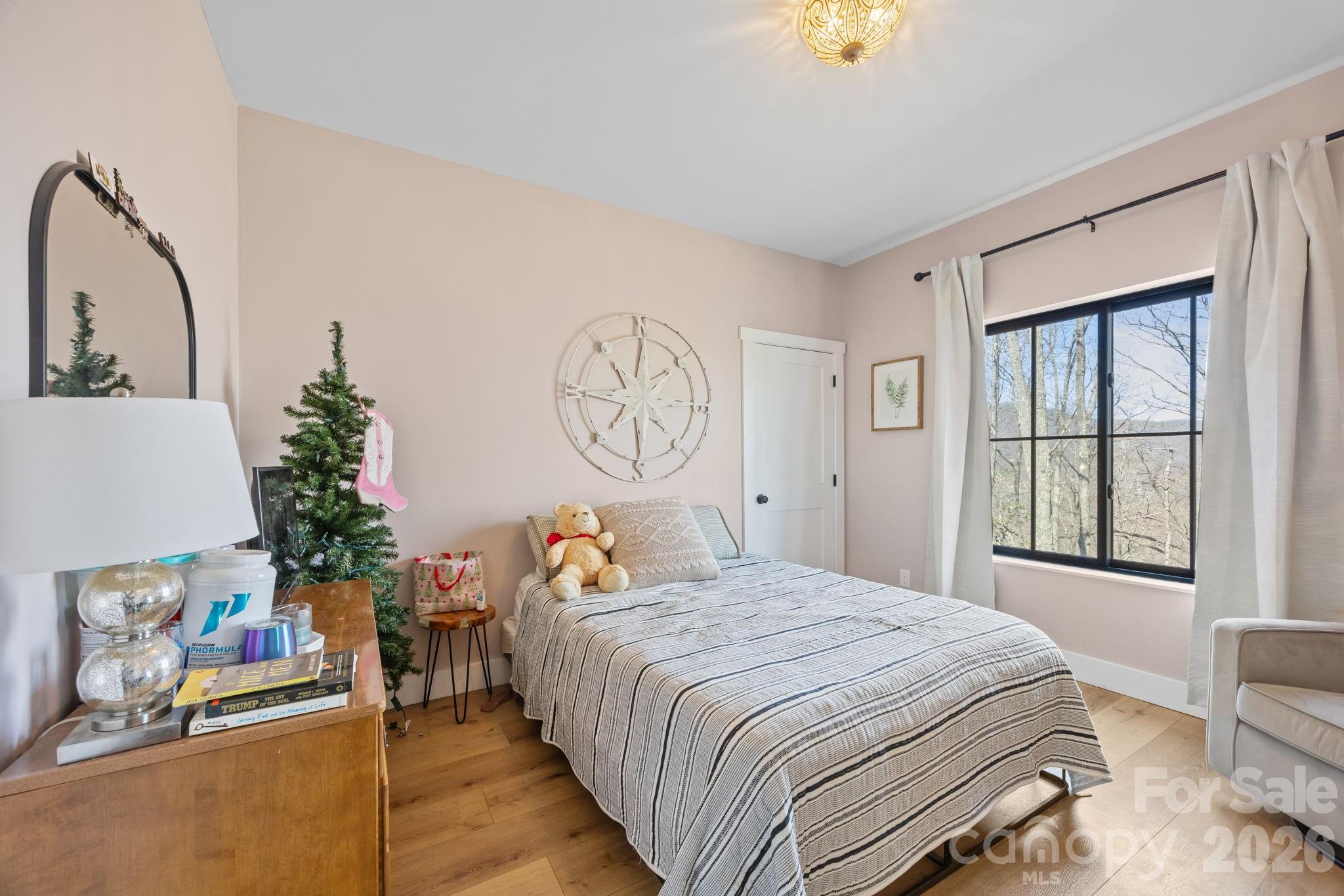 215 Ridgeway Road Candler, NC 28715 - Photo 24 of 45