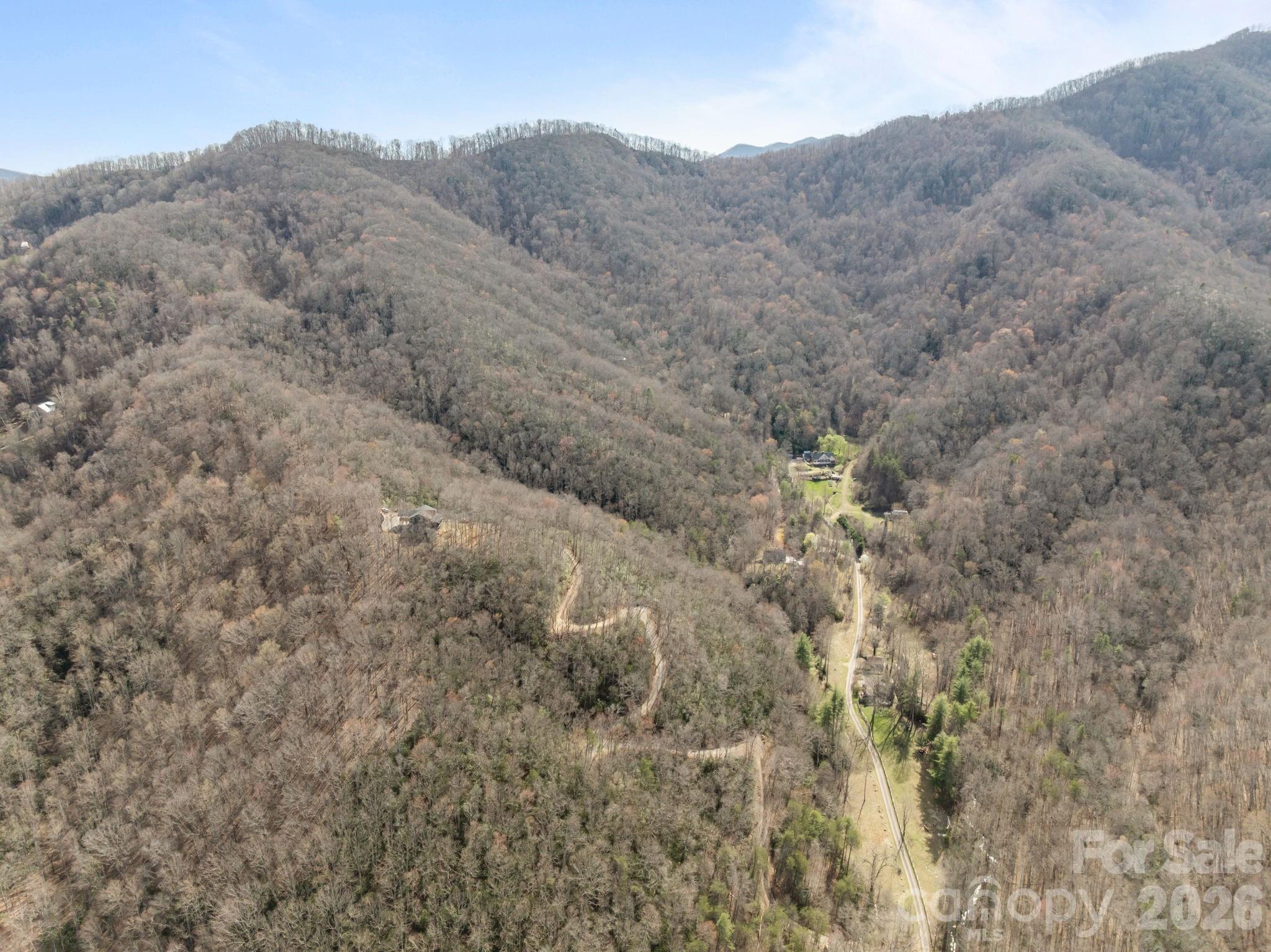 215 Ridgeway Road Candler, NC 28715 - Photo 6 of 45