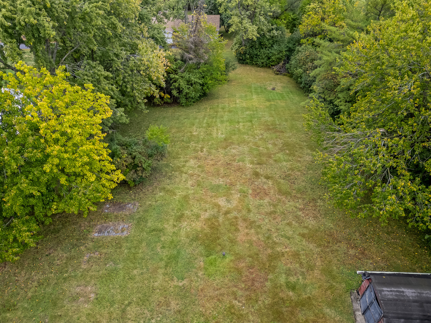 219 79th Street Burr Ridge, IL 60527 - Photo 28 of 28 a view of a yard with plants and large trees