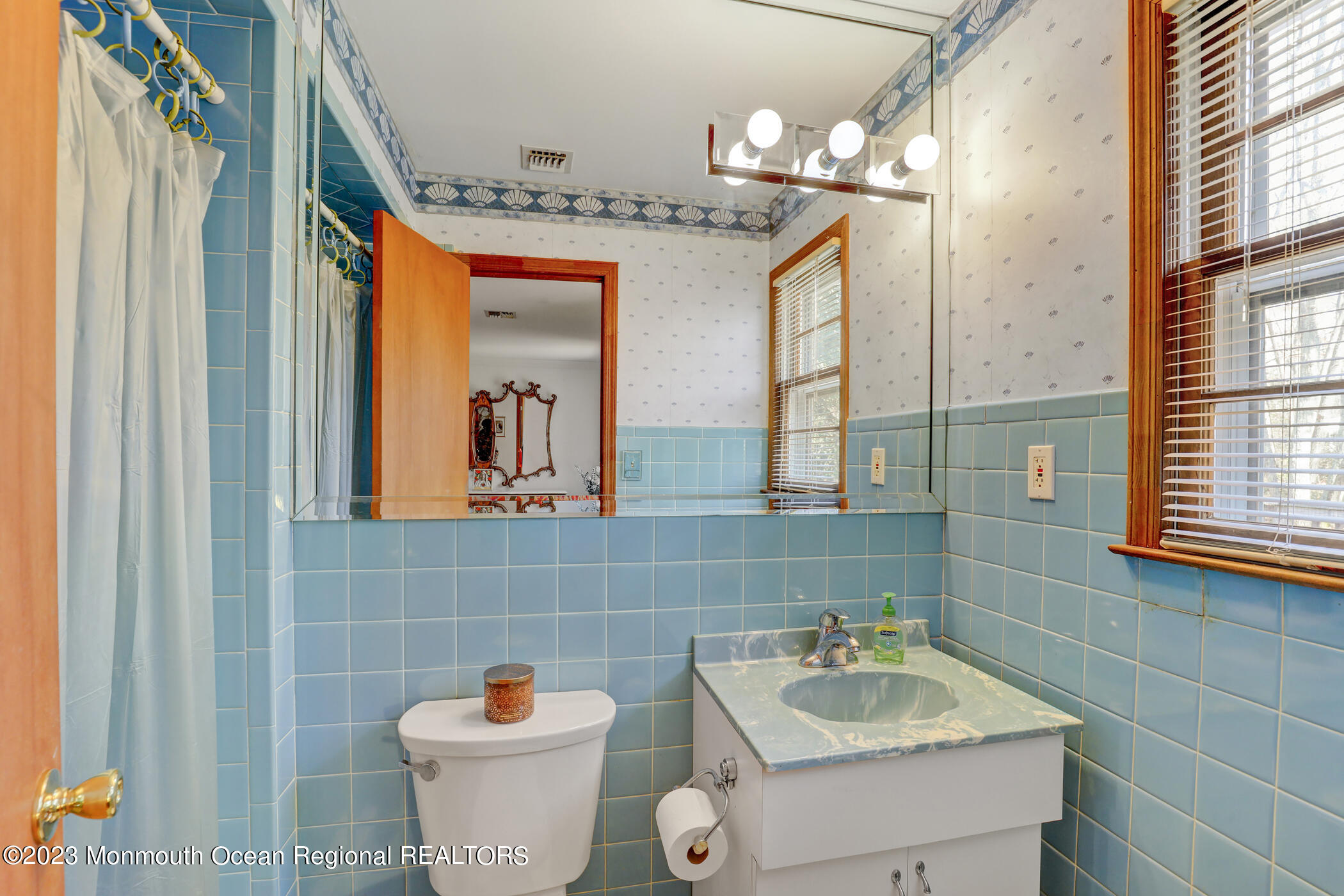 553 Declaration Lane Jackson, NJ 08527 - Photo 15 of 28 18 - Primary Bathroom