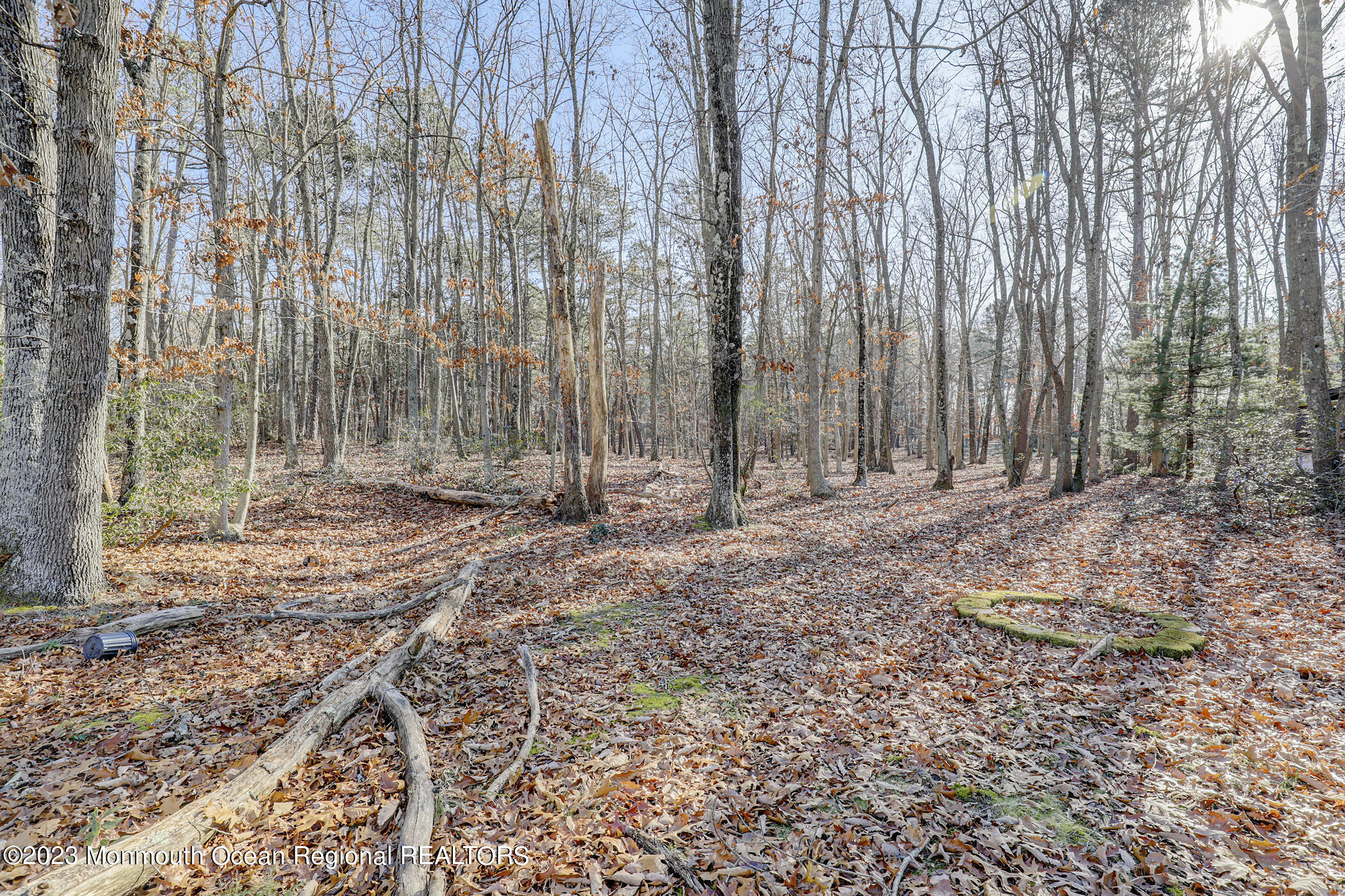 553 Declaration Lane Jackson, NJ 08527 - Photo 26 of 28 27 - Backyard