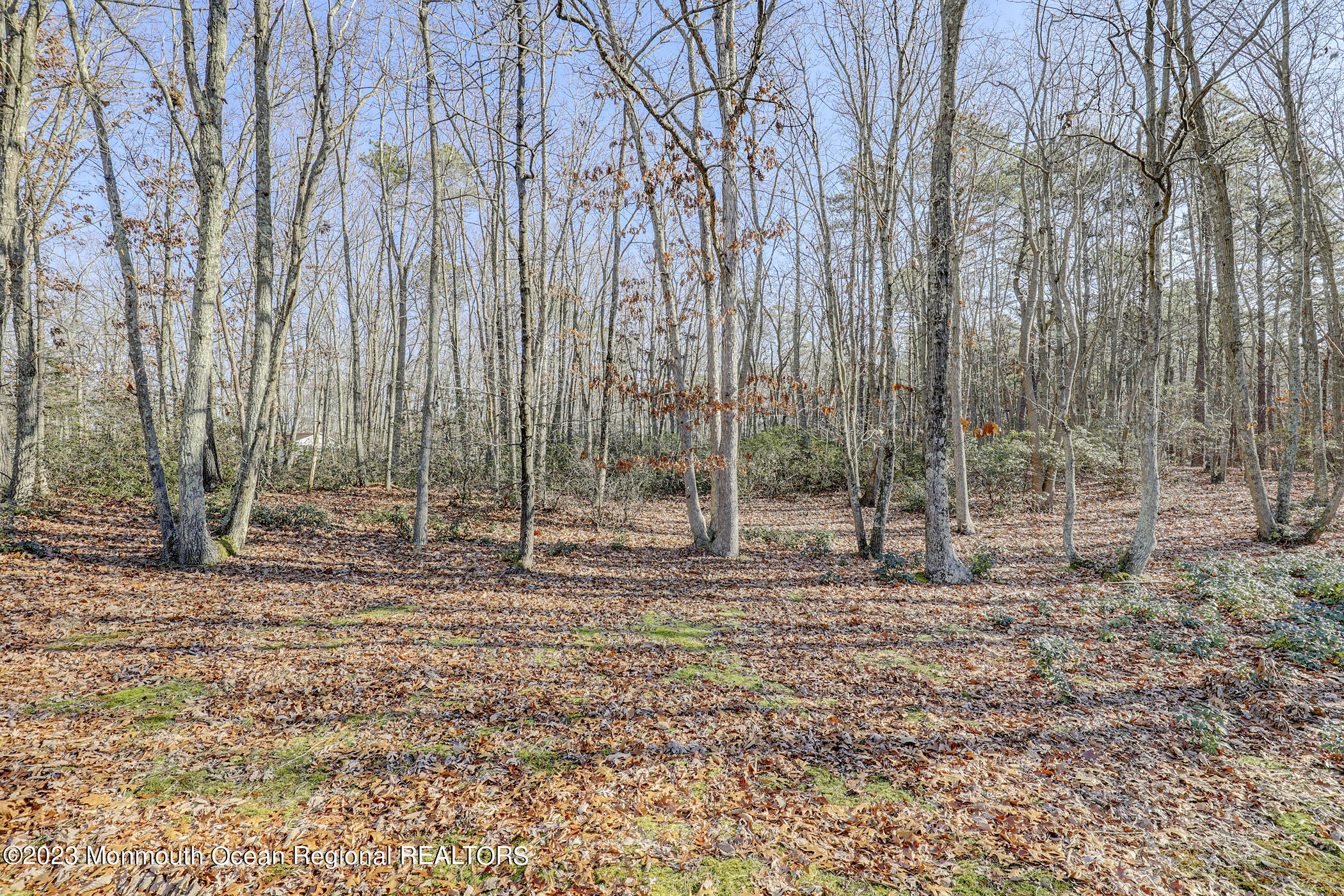 553 Declaration Lane Jackson, NJ 08527 - Photo 27 of 28 29 - Backyard