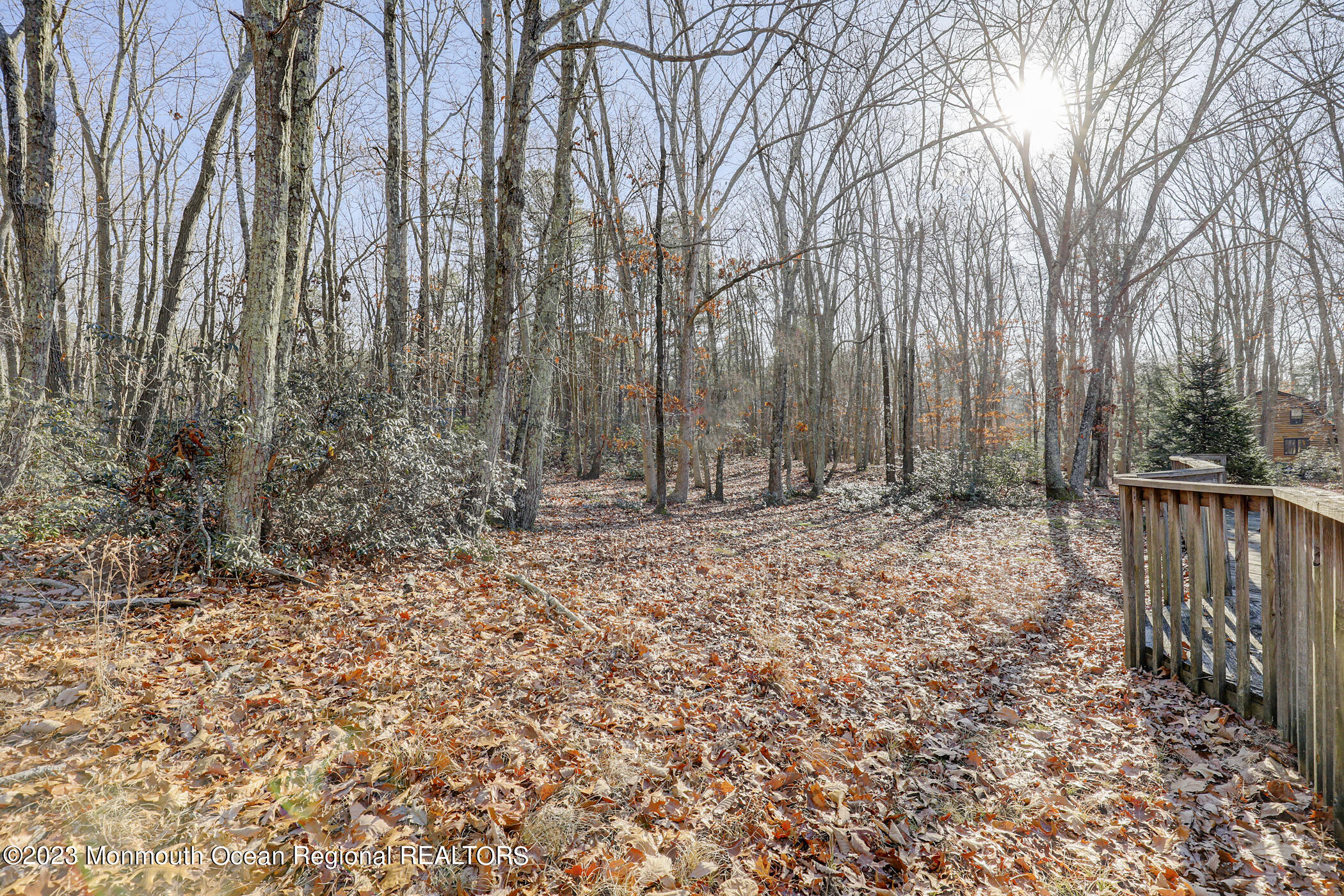 553 Declaration Lane Jackson, NJ 08527 - Photo 28 of 28 30 - Backyard