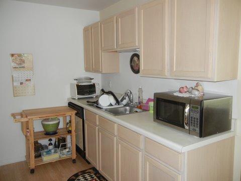 1020 Chaucer Court, Unit A Elgin, IL 60120 - Photo 6 of 10 a kitchen with stainless steel appliances a microwave a stove and white cabinets