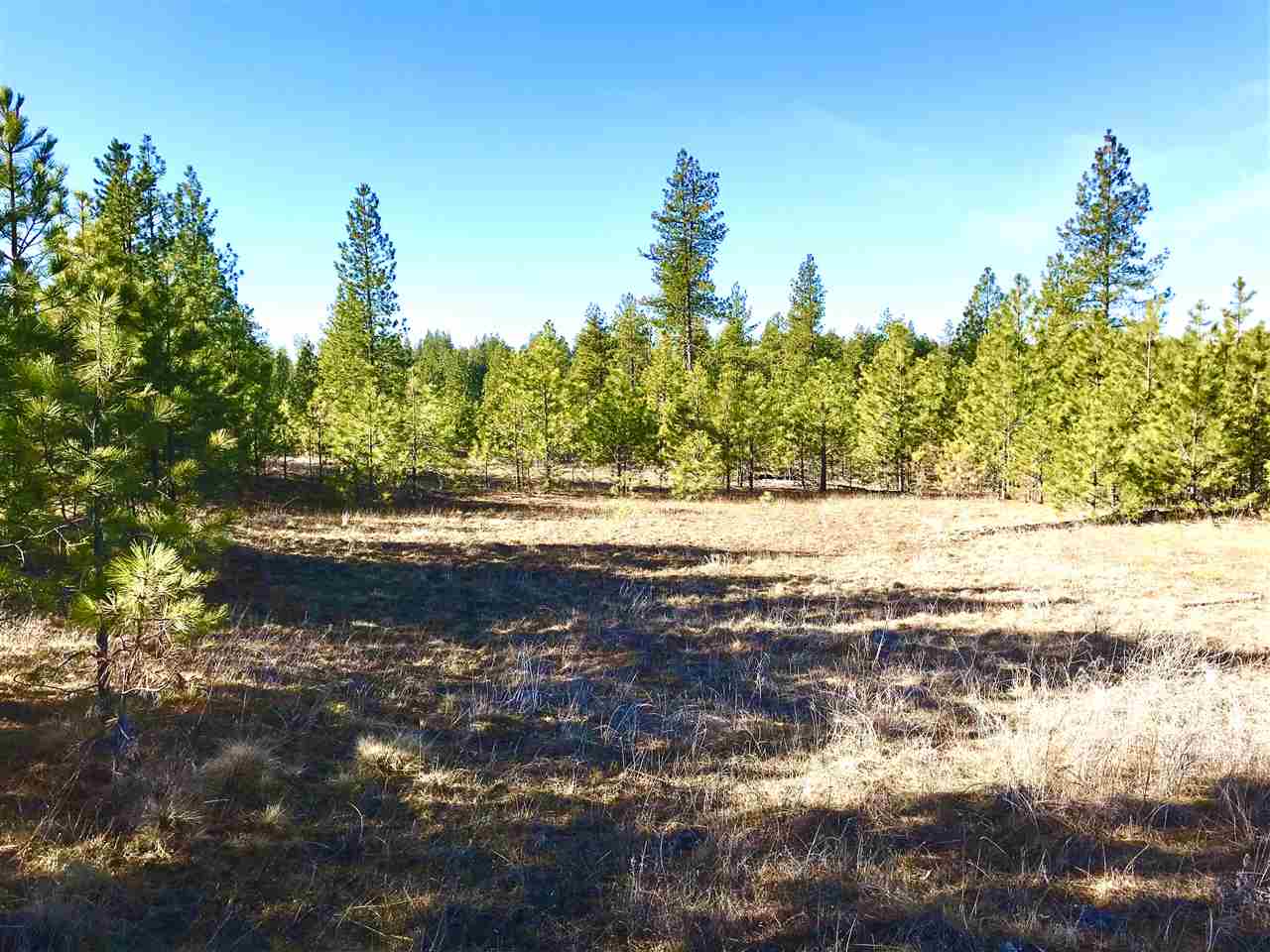 0 North Rambo Road Spokane, WA 99224 - Photo 11 of 14