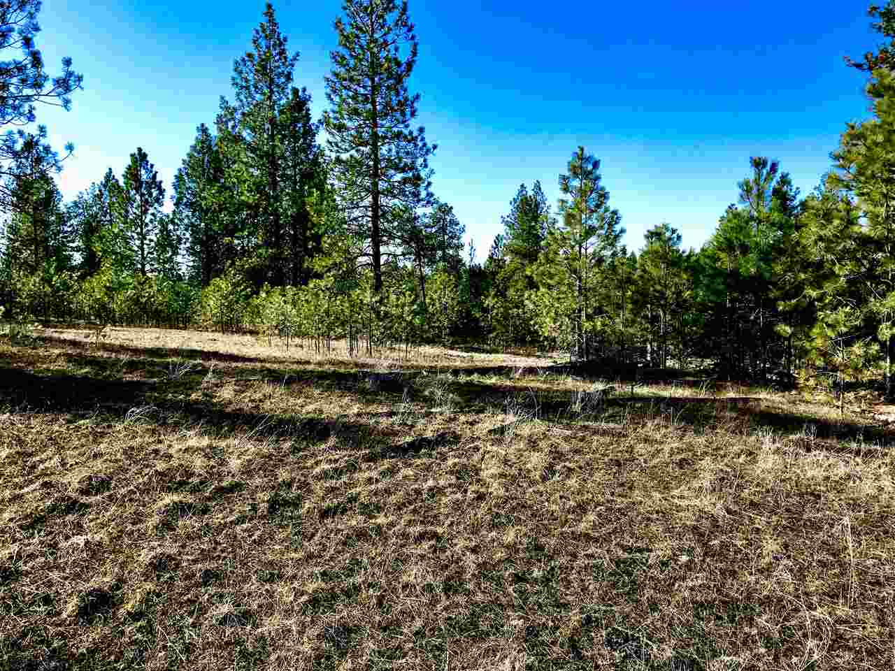 0 North Rambo Road Spokane, WA 99224 - Photo 12 of 14