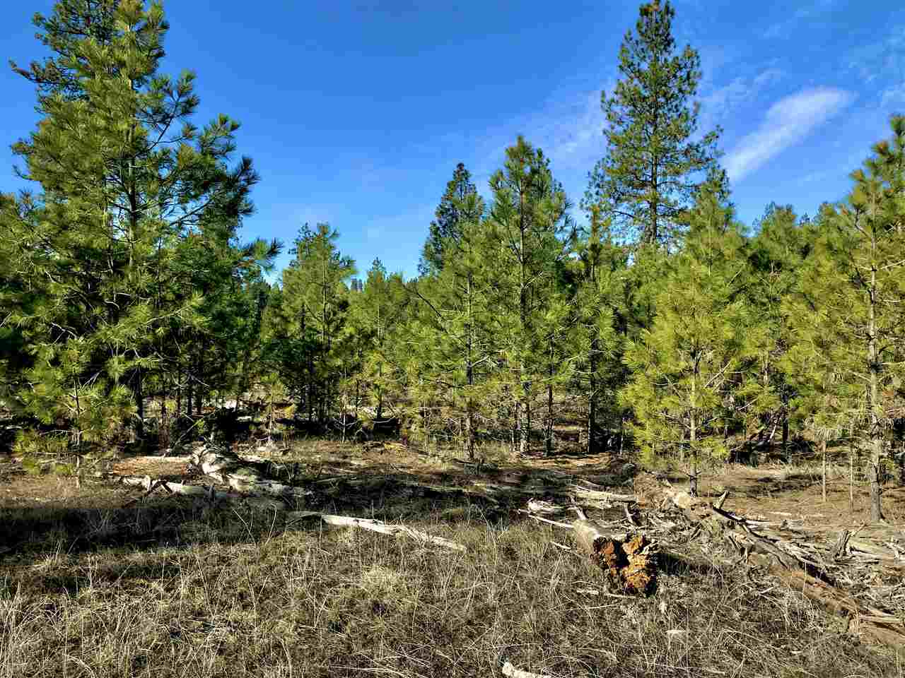 0 North Rambo Road Spokane, WA 99224 - Photo 13 of 14