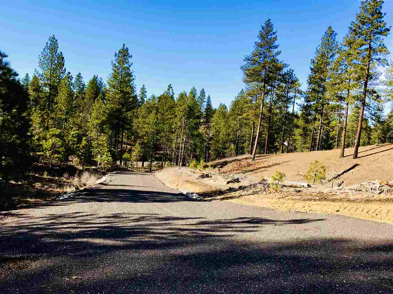 0 North Rambo Road Spokane, WA 99224 - Photo 3 of 14