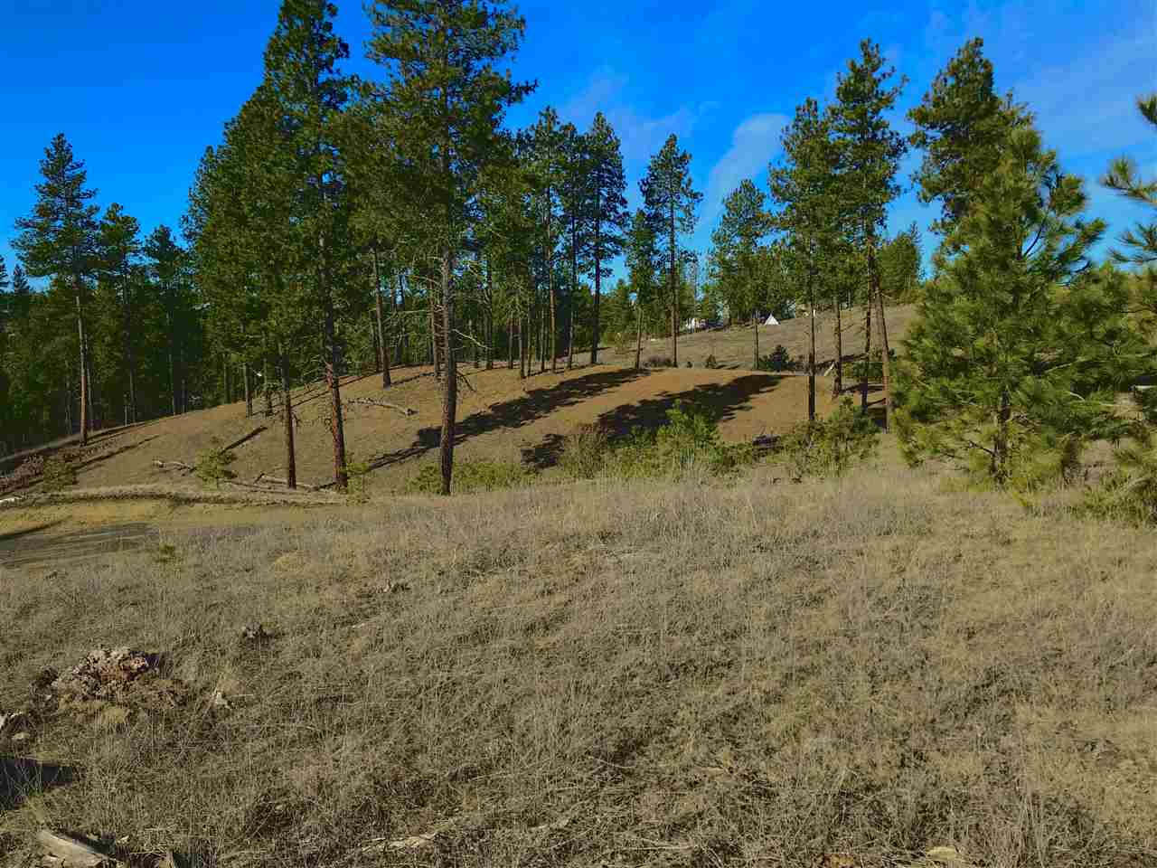 0 North Rambo Road Spokane, WA 99224 - Photo 5 of 14