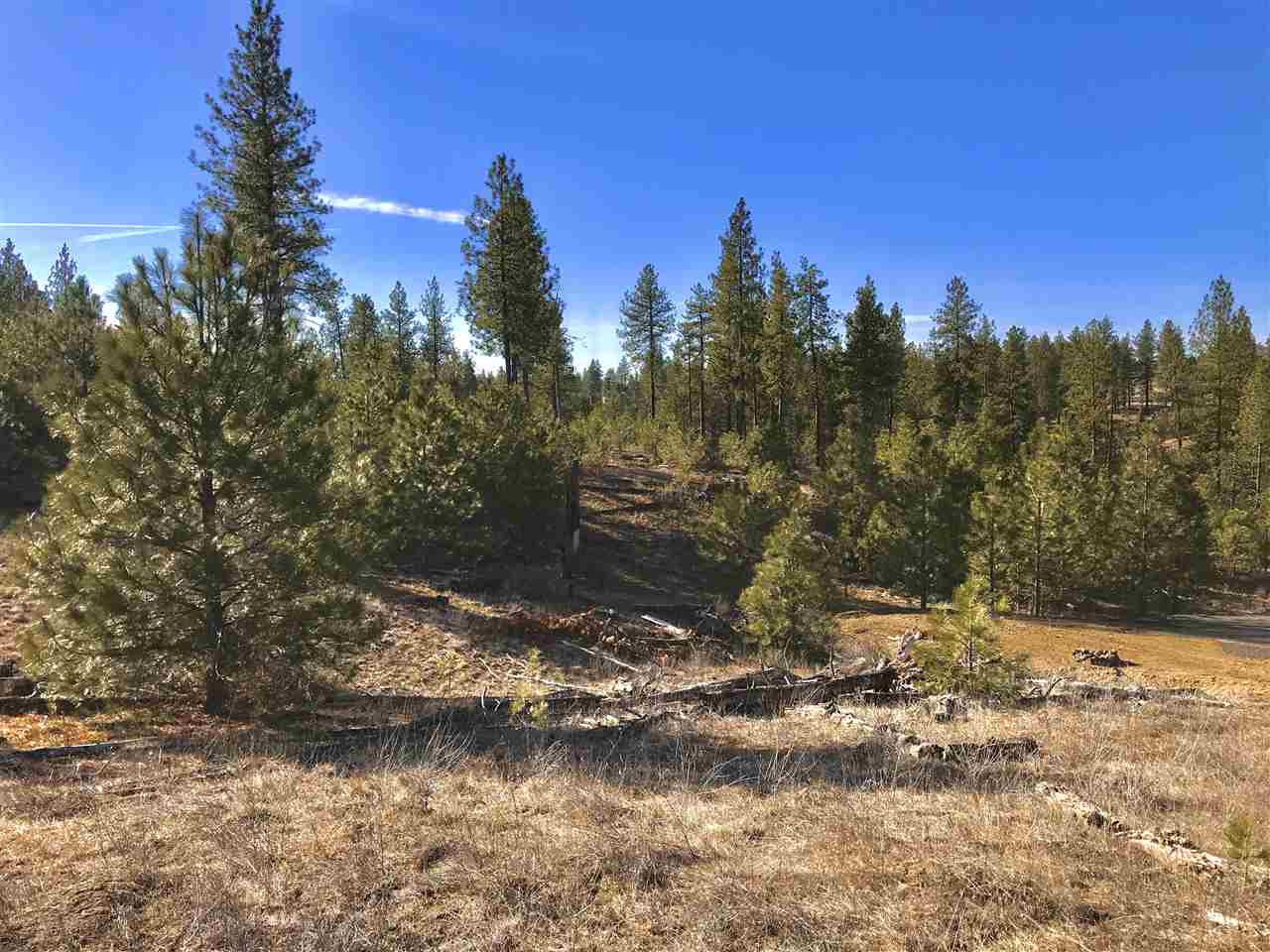 0 North Rambo Road Spokane, WA 99224 - Photo 6 of 14