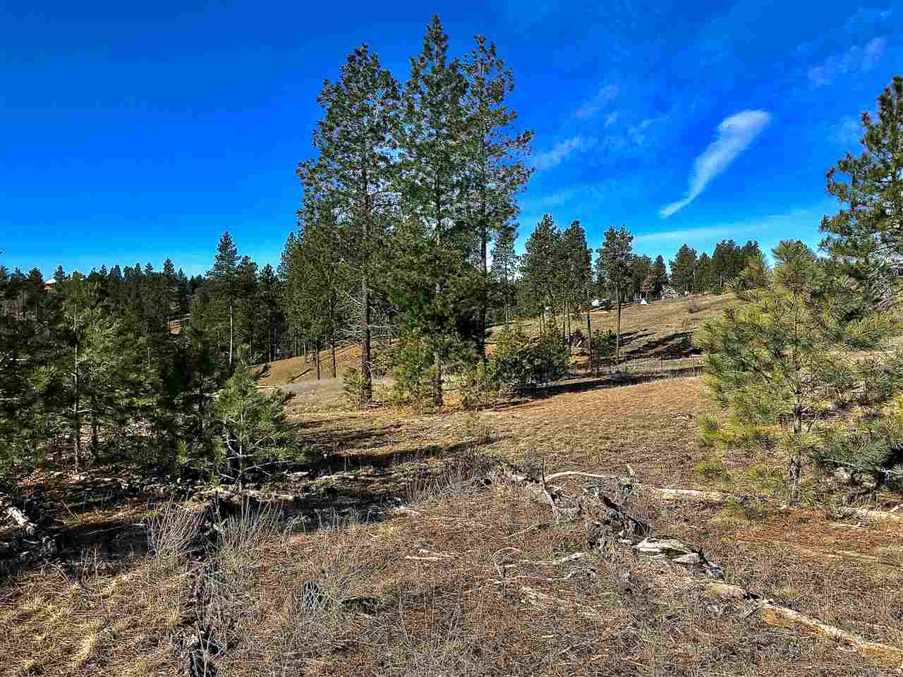 0 North Rambo Road Spokane, WA 99224 - Photo 7 of 14