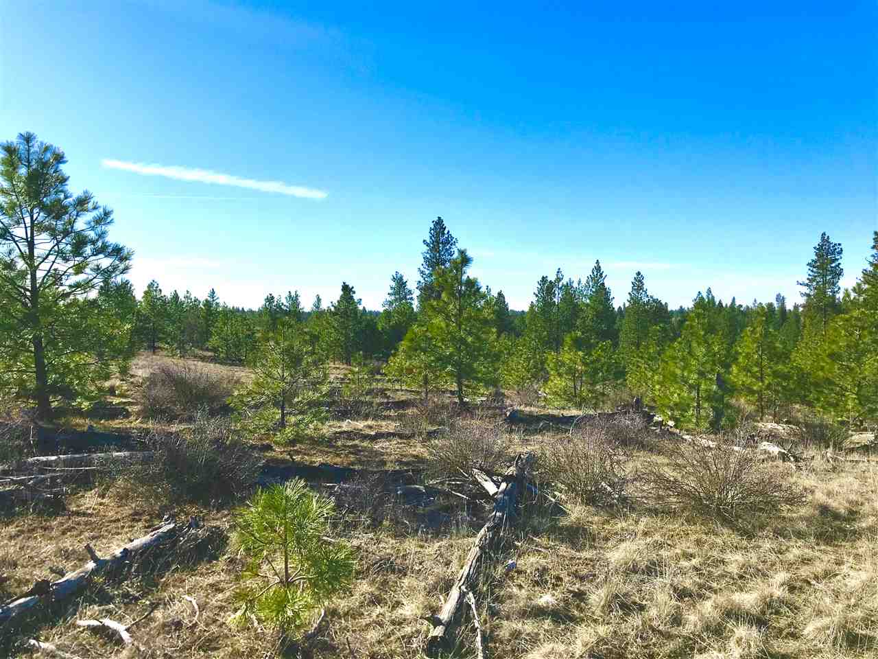 0 North Rambo Road Spokane, WA 99224 - Photo 8 of 14