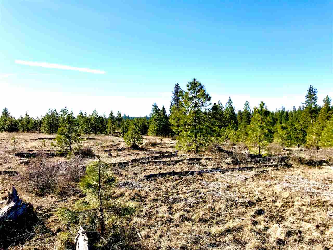 0 North Rambo Road Spokane, WA 99224 - Photo 9 of 14
