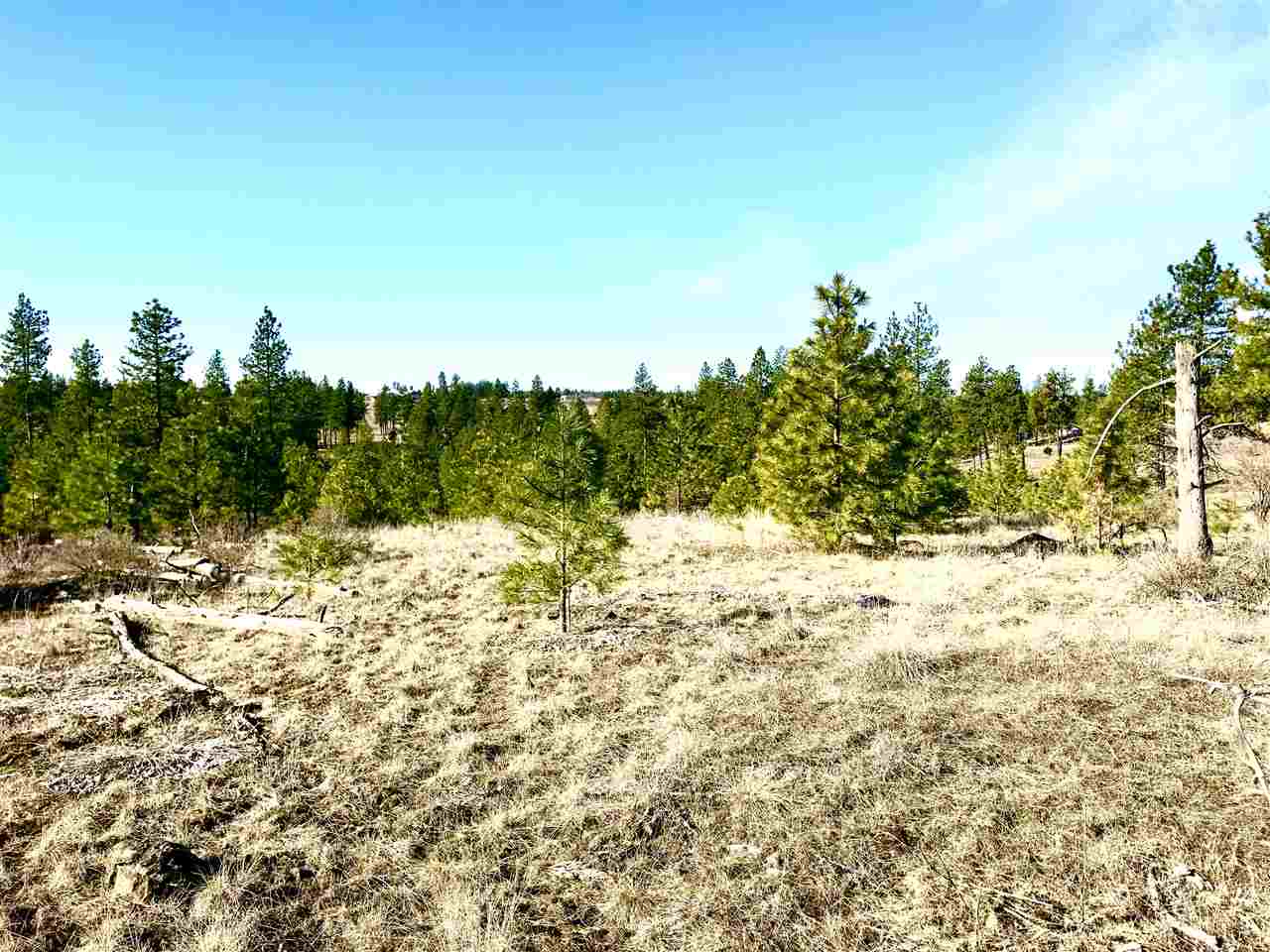 0 North Rambo Road Spokane, WA 99224 - Photo 10 of 14