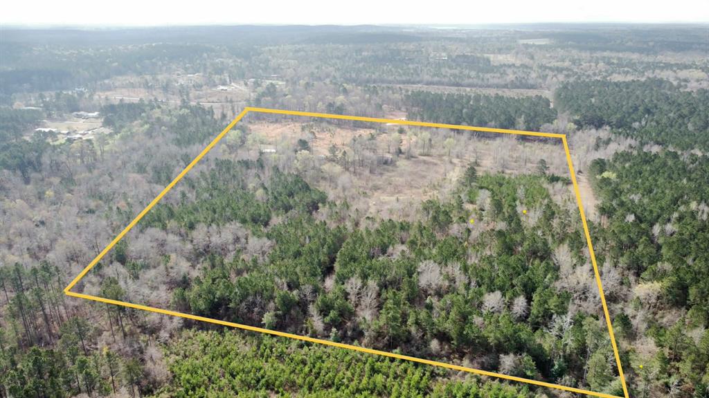 229 Padgett Road Benton, LA 71006 - Photo 4 of 9
