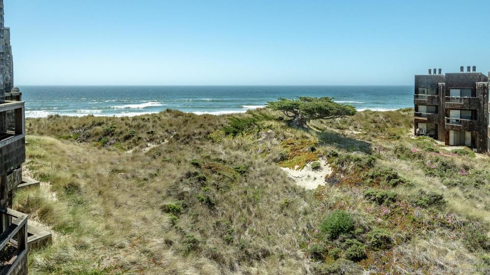 101 Shell Road, Unit 102 Watsonville, CA 95076 - Photo 19 of 20