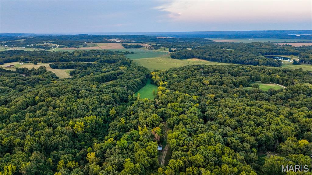 145 Eagle Ridge Lane Winfield, MO 63389 - Photo 37 of 39