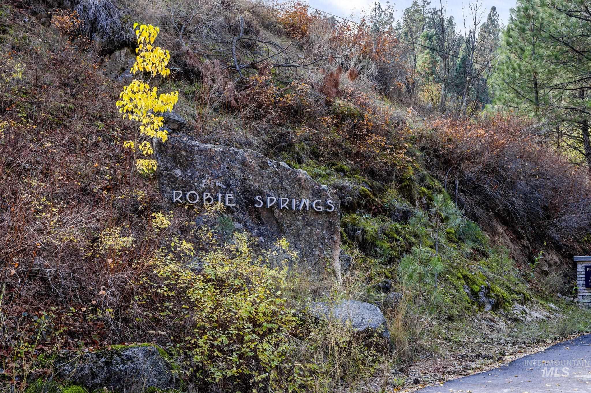 87 Robie Springs Road Boise, ID 83716 - Photo 22 of 24