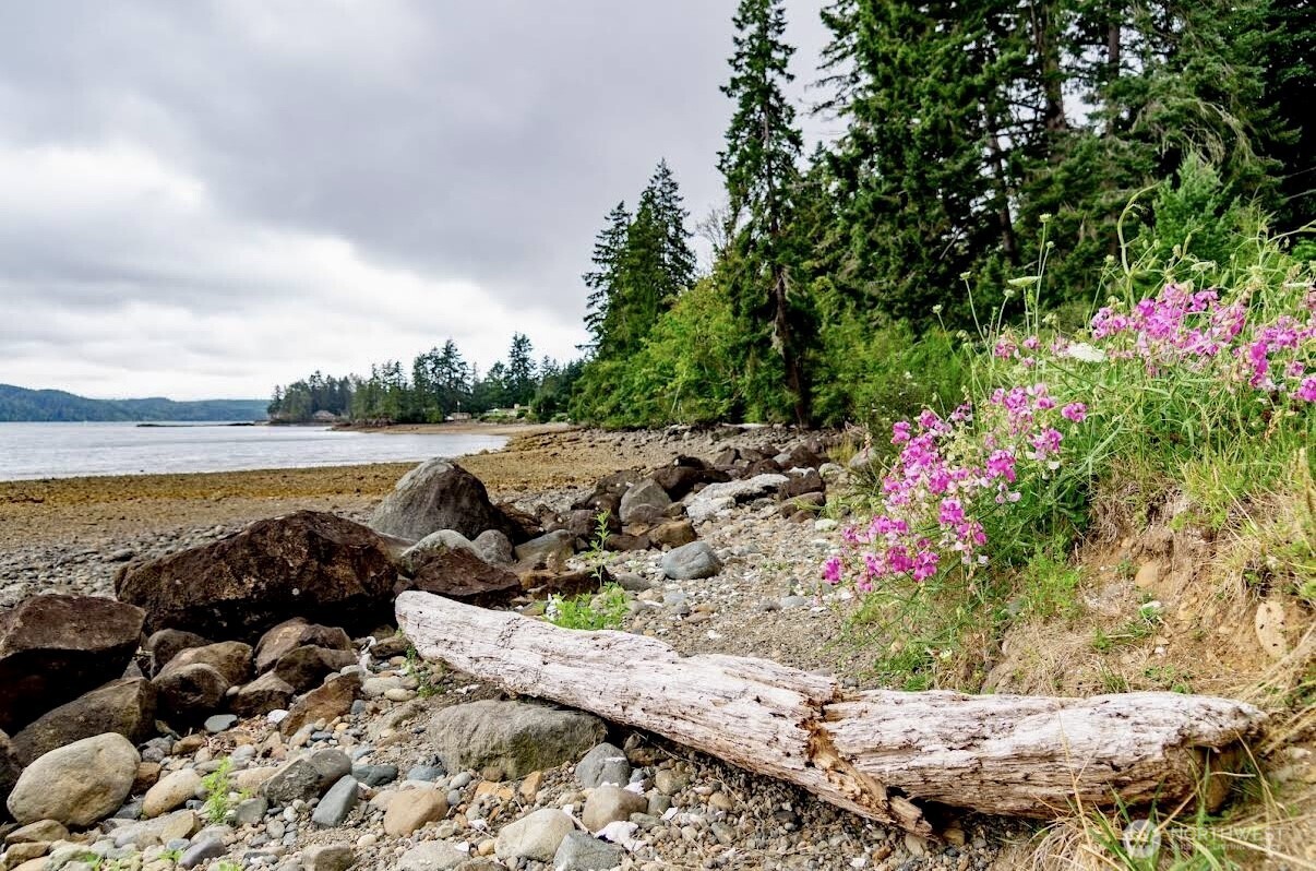 7611 North Triton Heights Road Lilliwaup, WA 98555 - Photo 12 of 35 a view of a lake with a big yard and potted plants