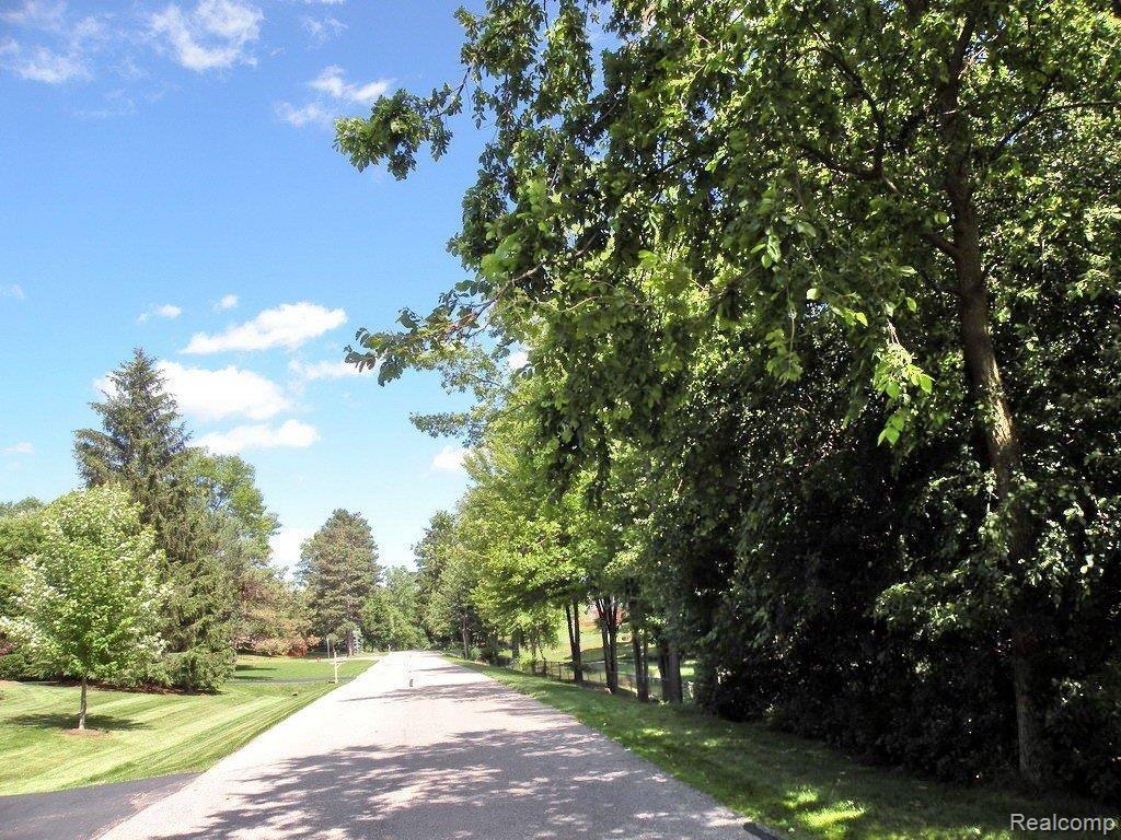 572 Cherry Tree Lane Rochester, MI 48306 - Photo 4 of 5 Street View