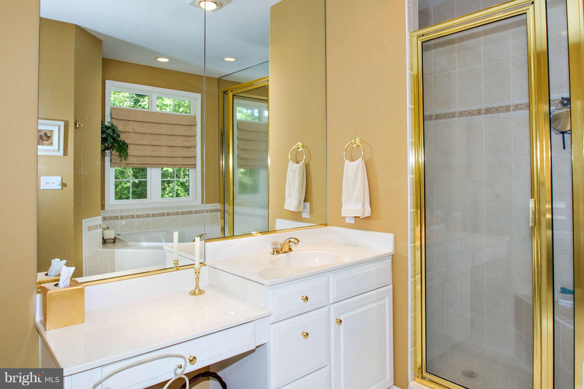 12920 Triadelphia Road Ellicott City, MD 21042 - Photo 18 of 27 Bath (Master)
