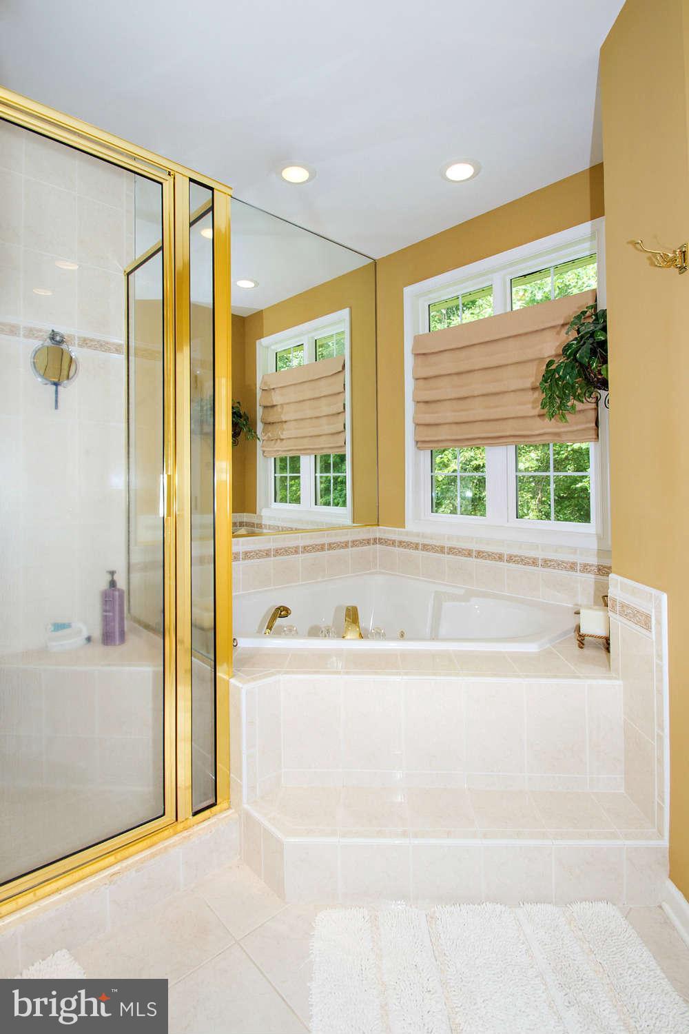12920 Triadelphia Road Ellicott City, MD 21042 - Photo 19 of 27 Bath (Master)
