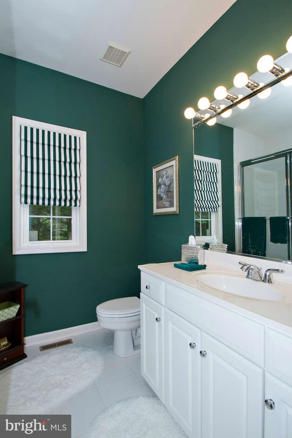 12920 Triadelphia Road Ellicott City, MD 21042 - Photo 23 of 27 Bath