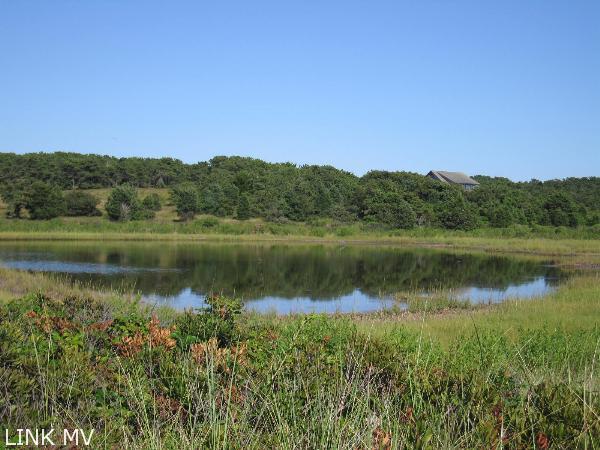 155 Litchfield Road Edgartown, MA 02539 - Photo 32 of 34 http://d1qzqeyxiitrap.cloudfront.net/photos/22427/600/2049b8c8.jpg