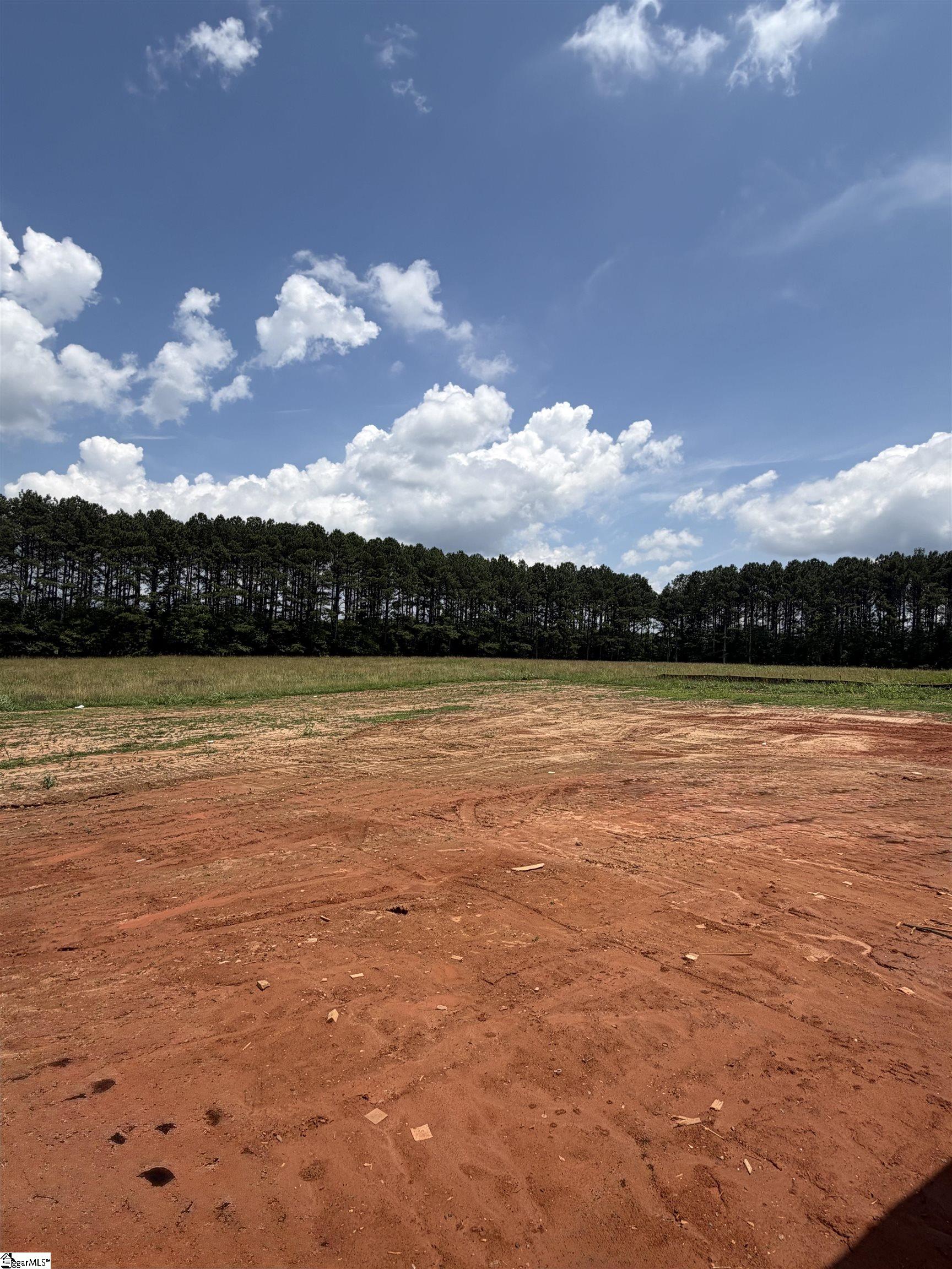 314 Richey Road, Unit SITE 2 Pelzer, SC 29669 - Photo 12 of 25