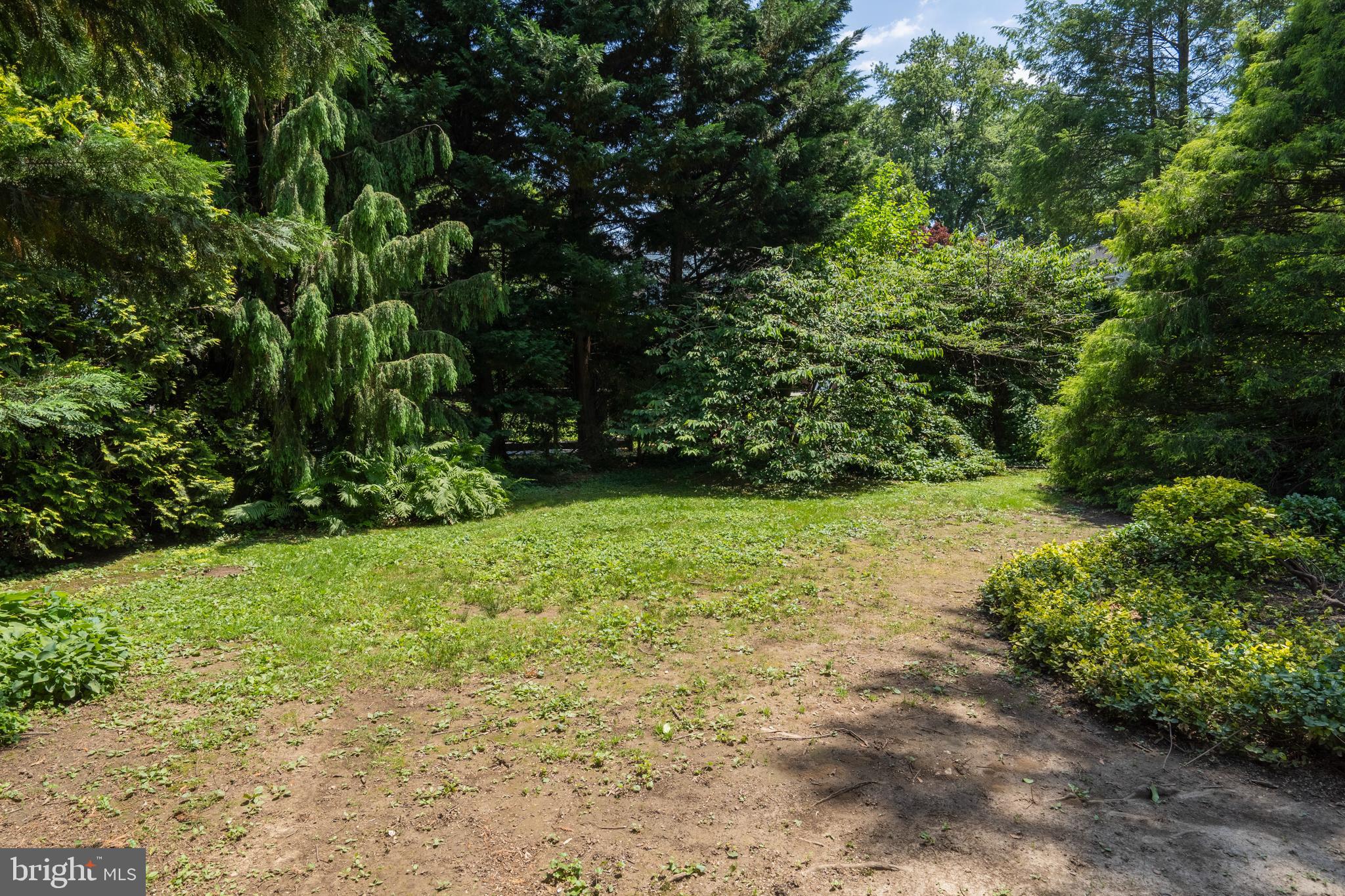 19 South Britton Road Springfield, PA 19064 - Photo 7 of 25