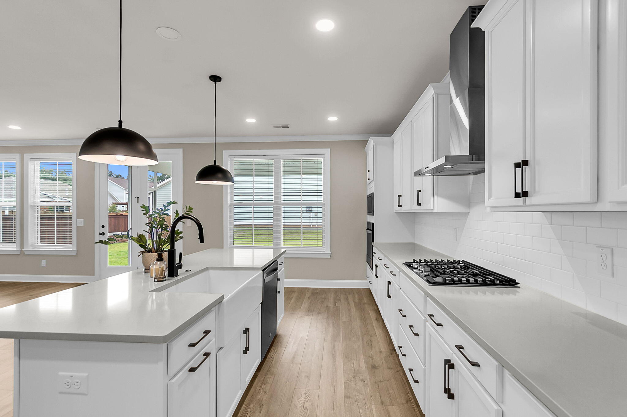 687 Black Pine Road Moncks Corner, SC 29461 - Photo 13 of 61 CREM - 687 Black Pine-19