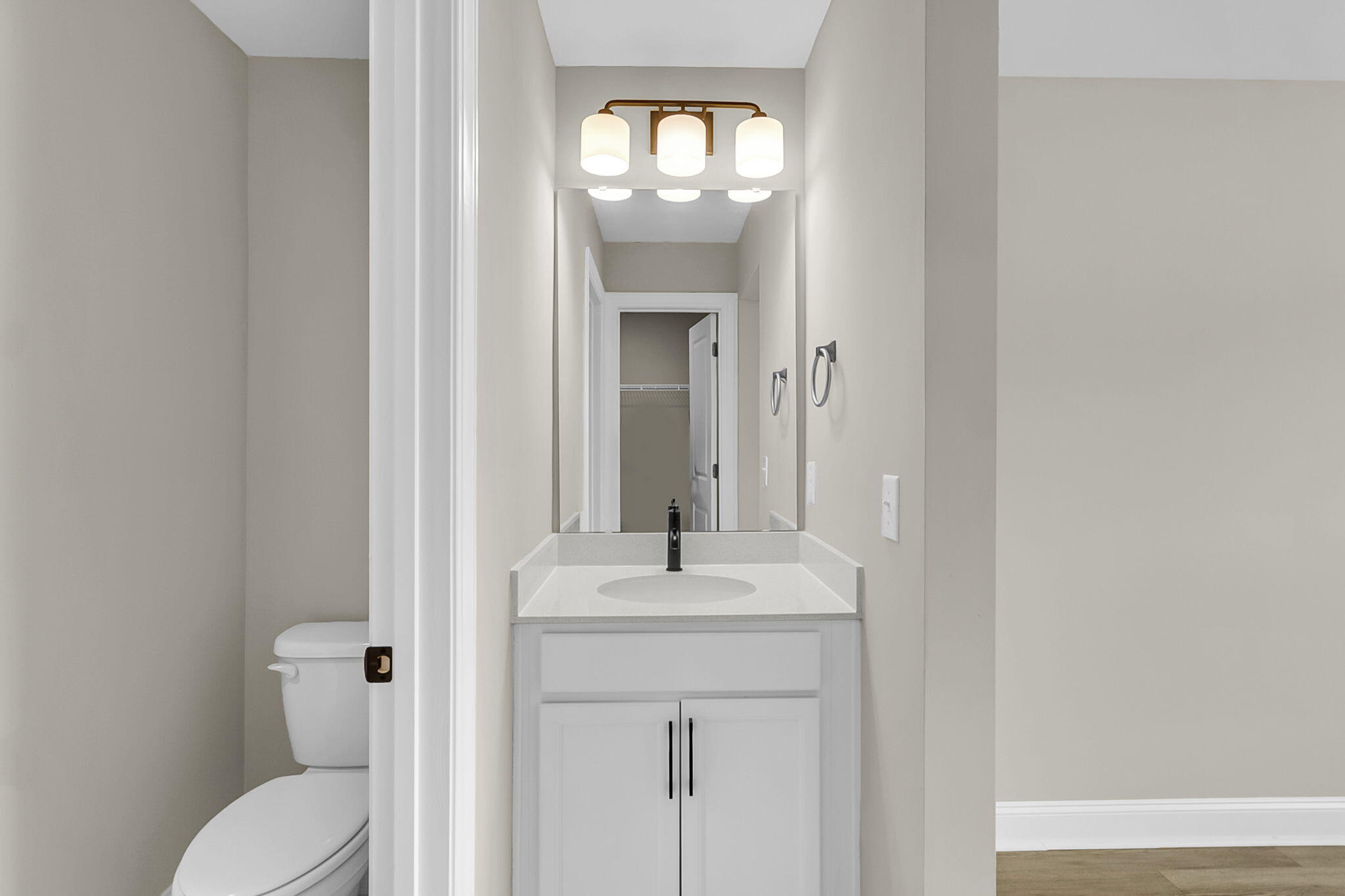 687 Black Pine Road Moncks Corner, SC 29461 - Photo 35 of 61 CREM - 687 Black Pine-41