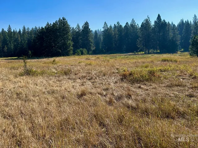 $185,000 | Lot 17 Whitefield Lane, McCall, ID 83638