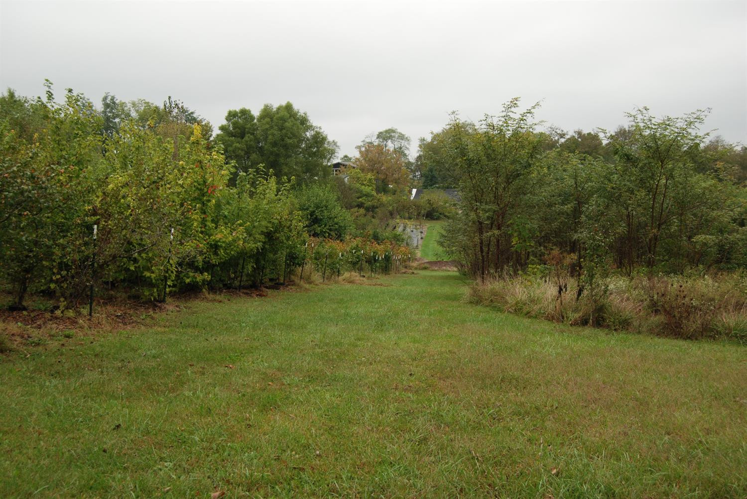 160 Soards Road Georgetown, KY 40324 - Photo 17 of 43 Photo 17